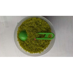 Electrostatic Foliage -Light Green Grass for Approx. 3 square feet In Plastic Container